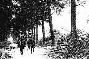 Reconnaissance de cuirassiers sur une route o les arbres ont t fauchs par le feu de notre artillerie